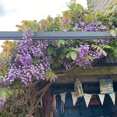 Welcome To Madame Cholets House In Wombleton Helmsley