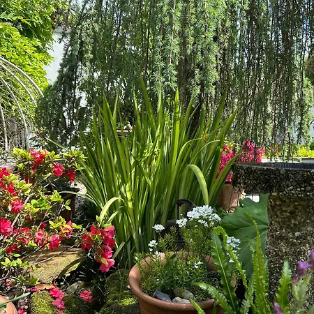 Vakantiehuis Welcome To Madame Cholets House In Wombleton *